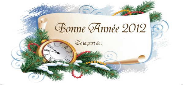 La maison de Doudou > Carte denvoi > BONNE ANNéE 2012 005