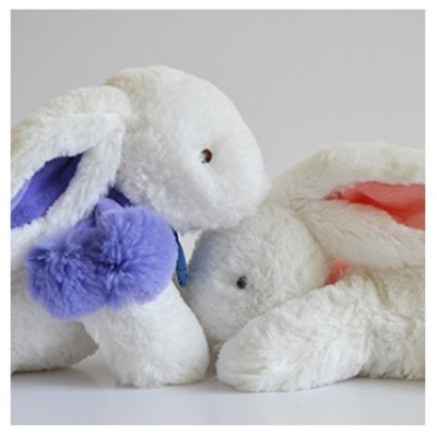 lapin rose rencontre
