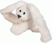 Lapin blanc