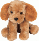 Caramel Le chien