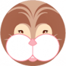 Bouille lapin