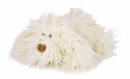 Chien Toufou PM