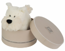 Chien blanc terrier
