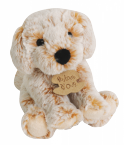 Chien