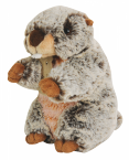 Marmotte