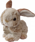 Lapin