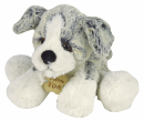 Chien Z'animoos