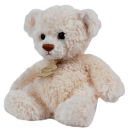 Ours C�lin Ivoire