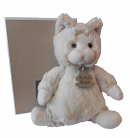 Chat