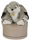 Lapin Marius