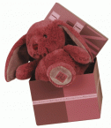 Lapin voeux rose