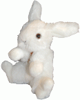Lapin blanc