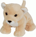 Lionceau